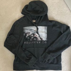 Hollister Sweatshirt